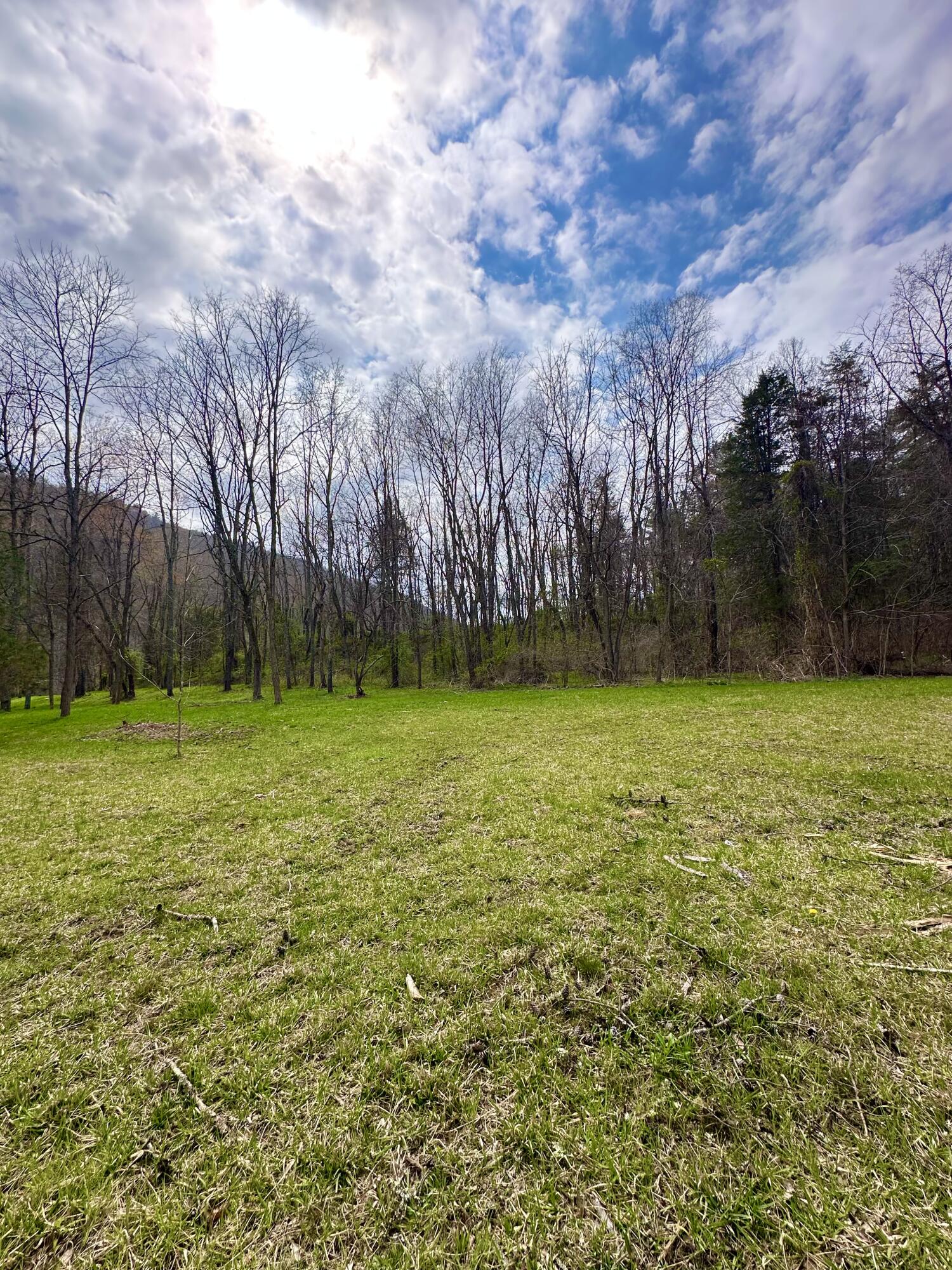 800 East Morris Hill Road Covington, VA 24426 - Photo 109 of 126 IMG_6983