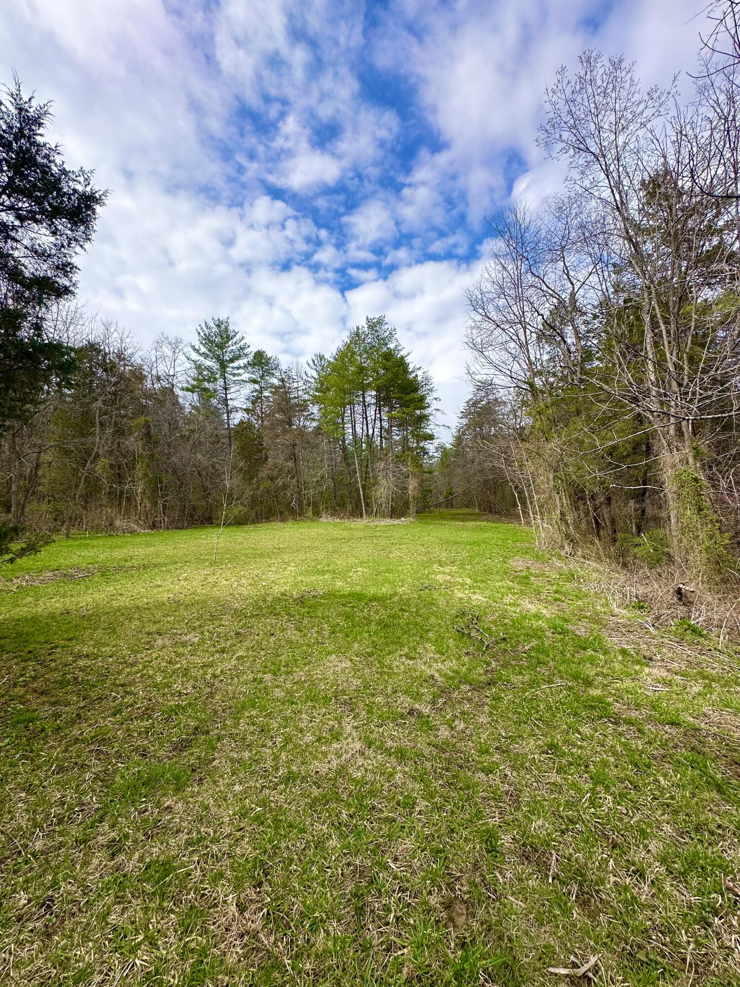 800 East Morris Hill Road Covington, VA 24426 - Photo 110 of 126 IMG_6981