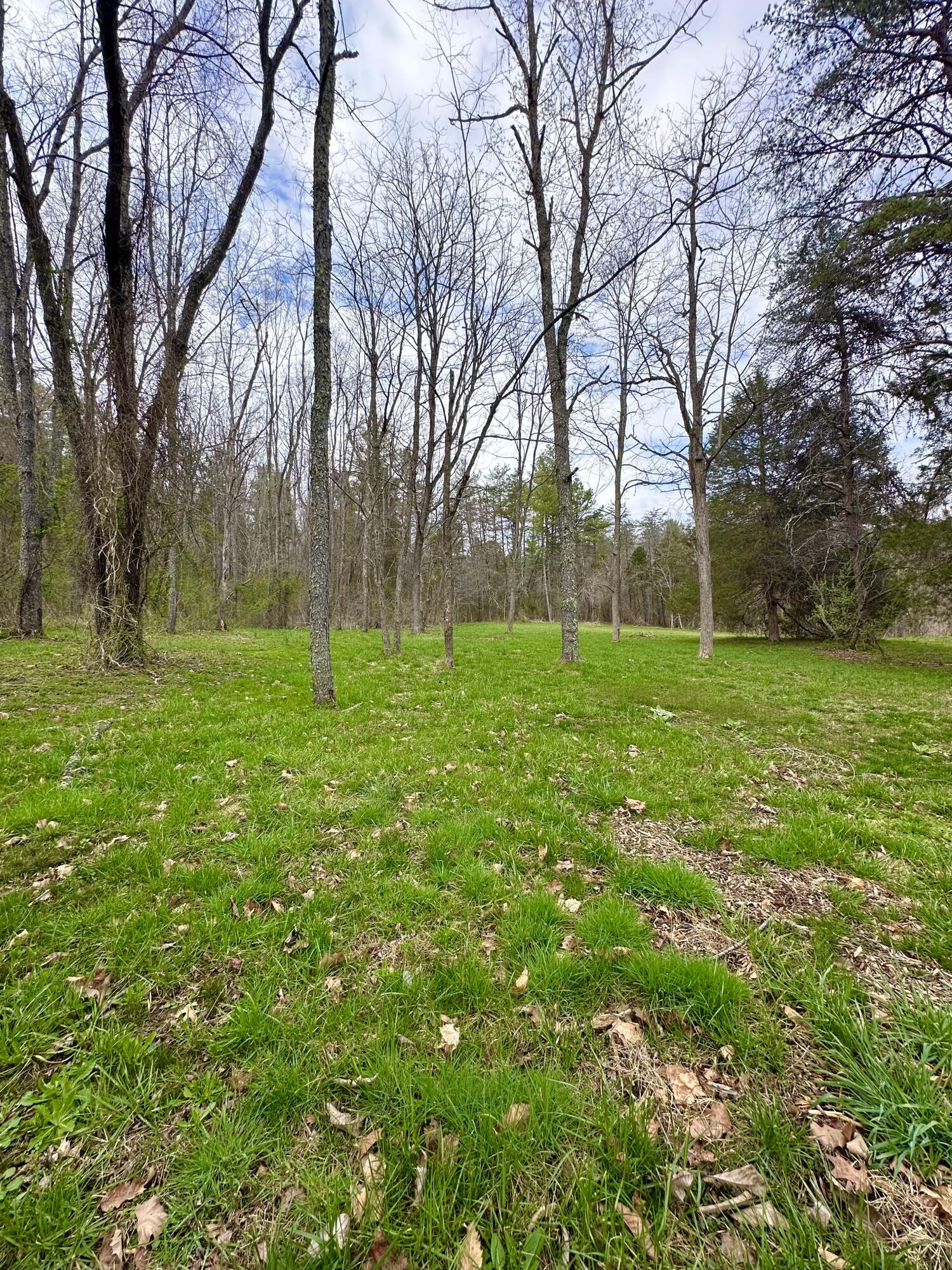 800 East Morris Hill Road Covington, VA 24426 - Photo 111 of 126 IMG_6980