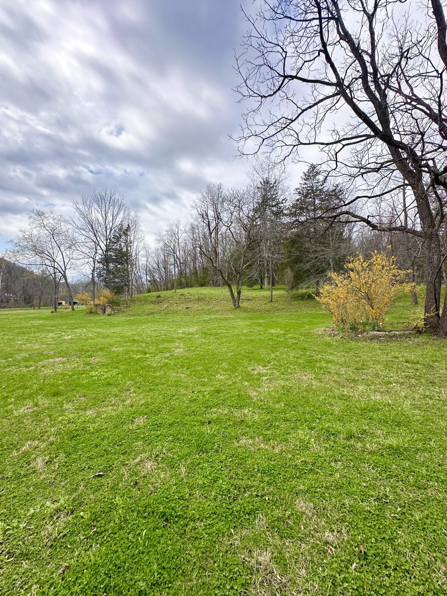 800 East Morris Hill Road Covington, VA 24426 - Photo 112 of 126 IMG_6972