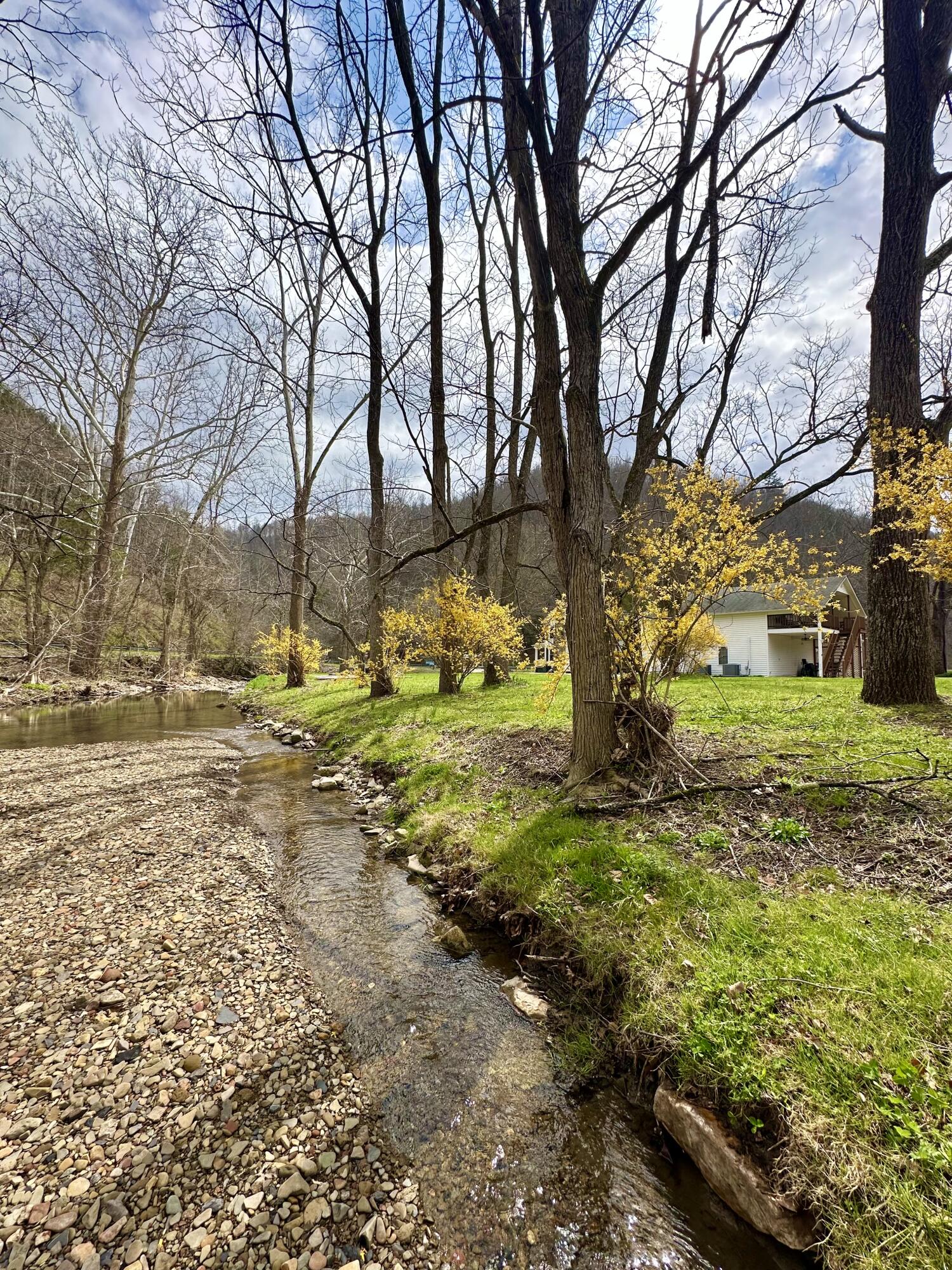 800 East Morris Hill Road Covington, VA 24426 - Photo 114 of 126 IMG_6970