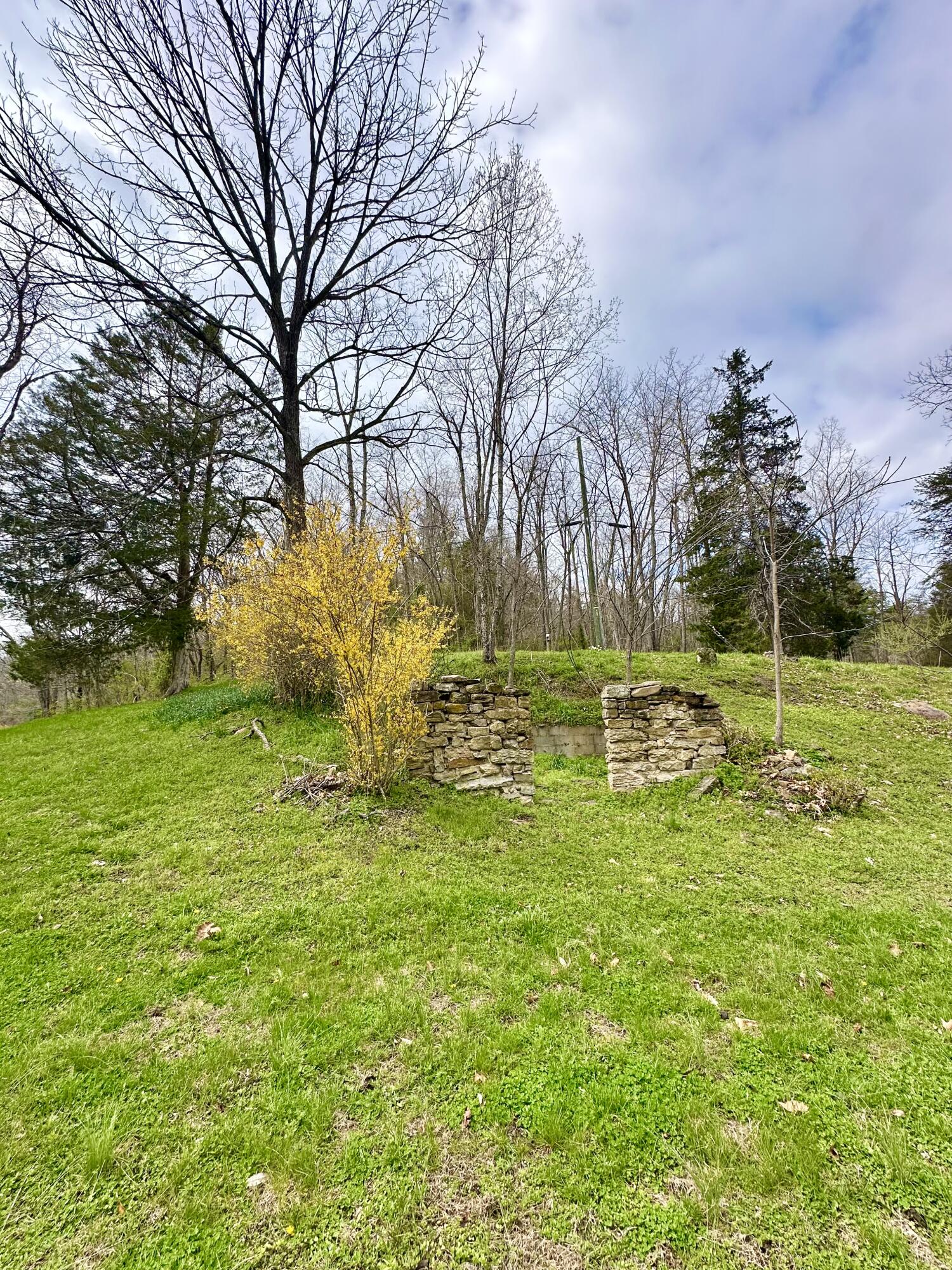 800 East Morris Hill Road Covington, VA 24426 - Photo 115 of 126 IMG_6961