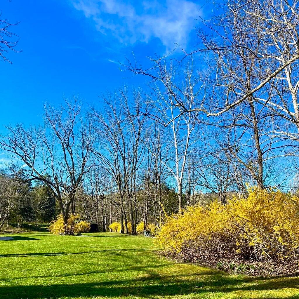 800 East Morris Hill Road Covington, VA 24426 - Photo 126 of 126 20260404224751131497000000-o