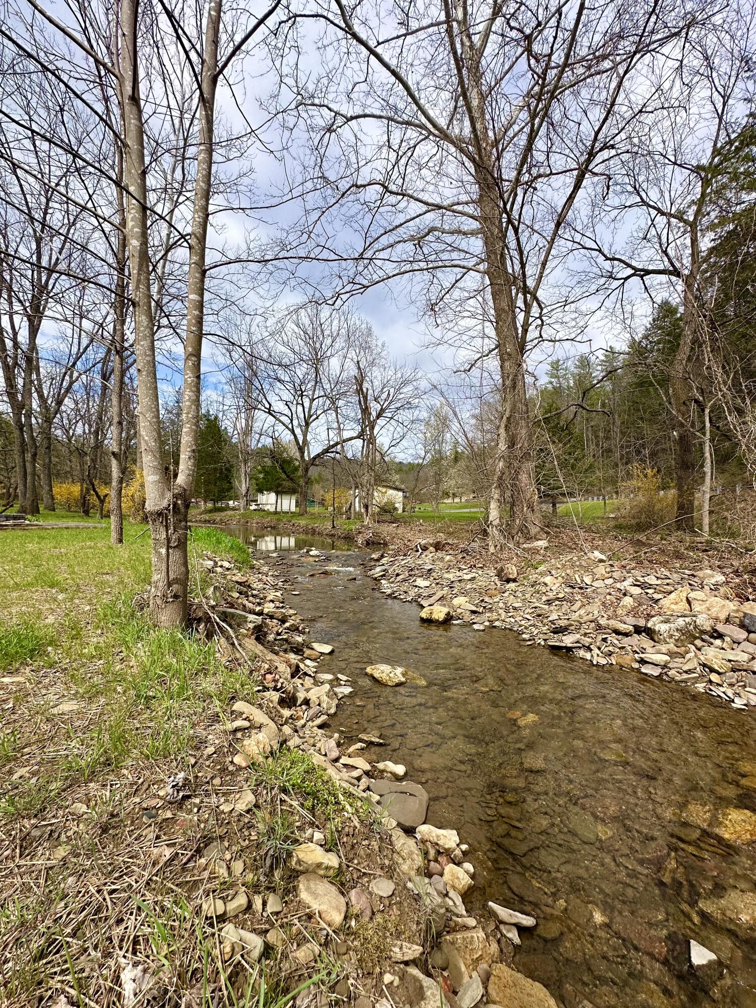 800 East Morris Hill Road Covington, VA 24426 - Photo 21 of 126 IMG_6964