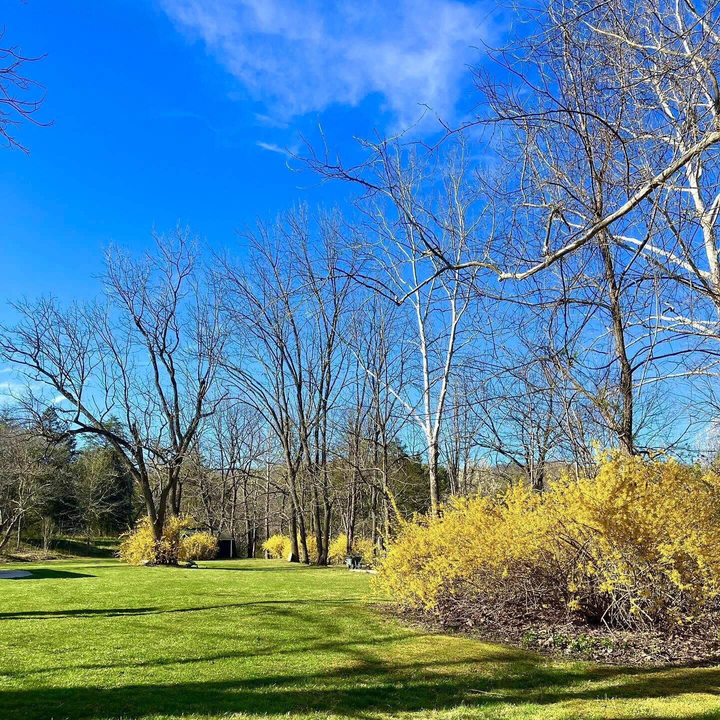 800 East Morris Hill Road Covington, VA 24426 - Photo 23 of 126 IMG_8111