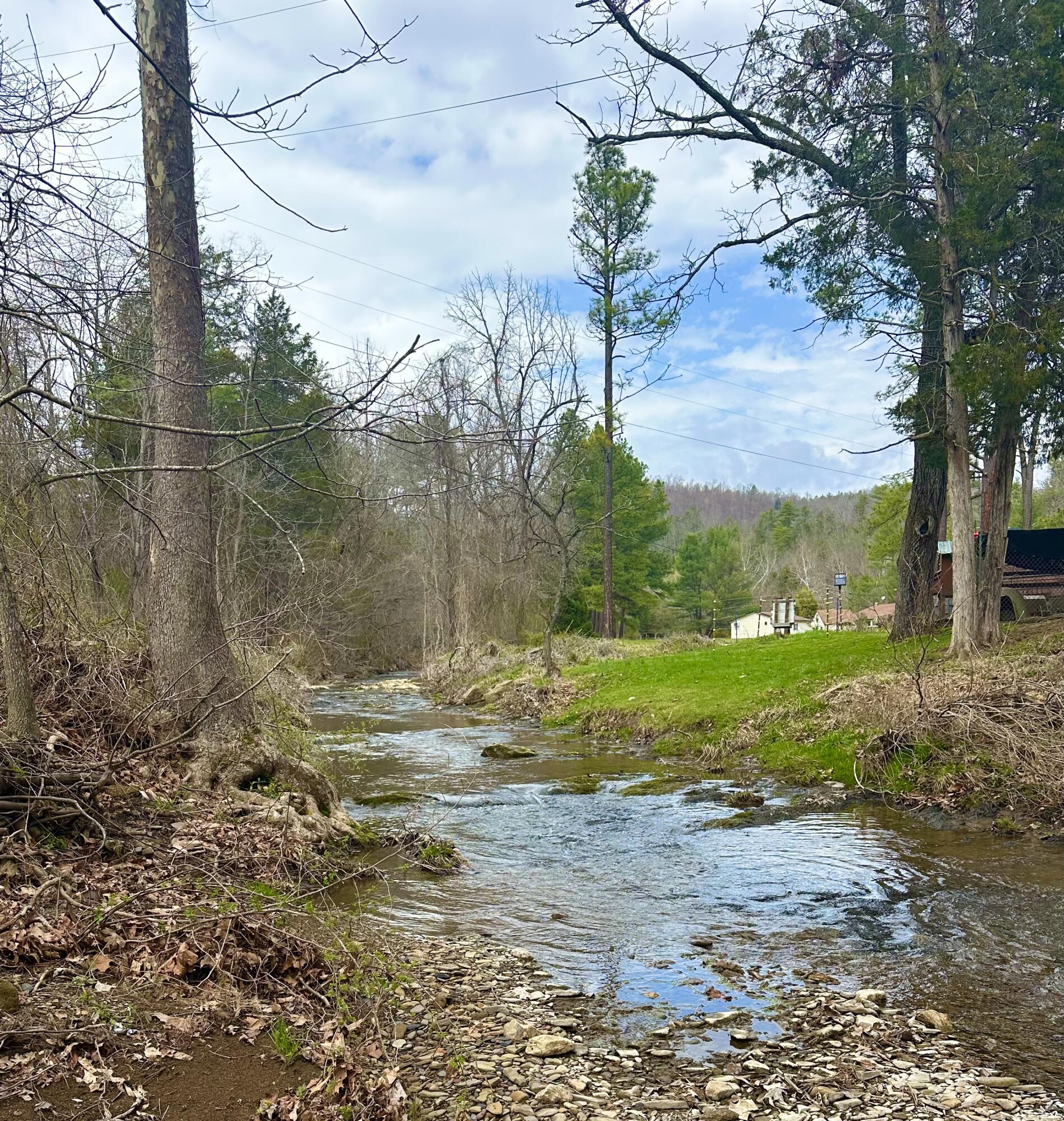 800 East Morris Hill Road Covington, VA 24426 - Photo 25 of 126 IMG_6975