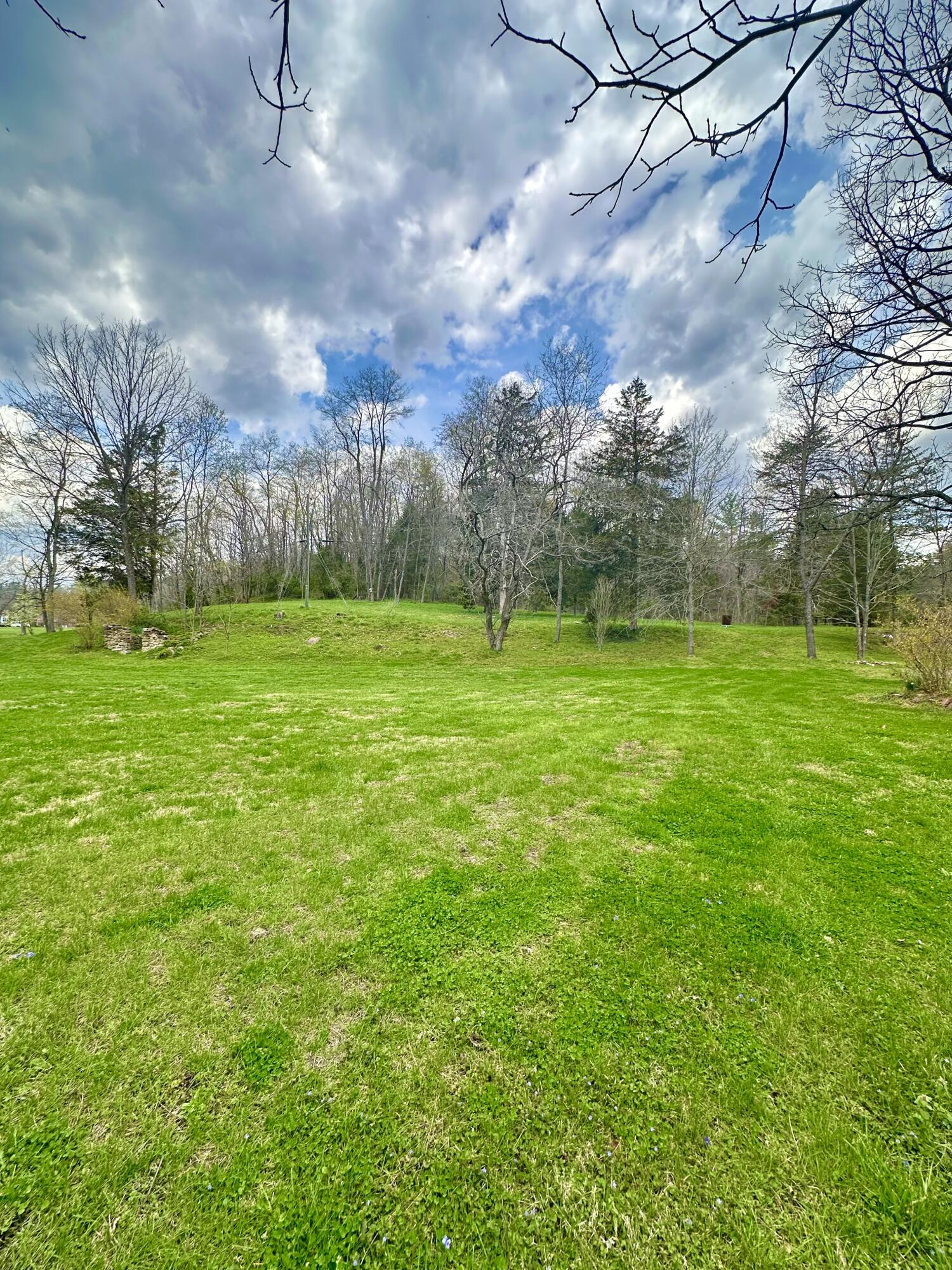 800 East Morris Hill Road Covington, VA 24426 - Photo 95 of 126 IMG_7061