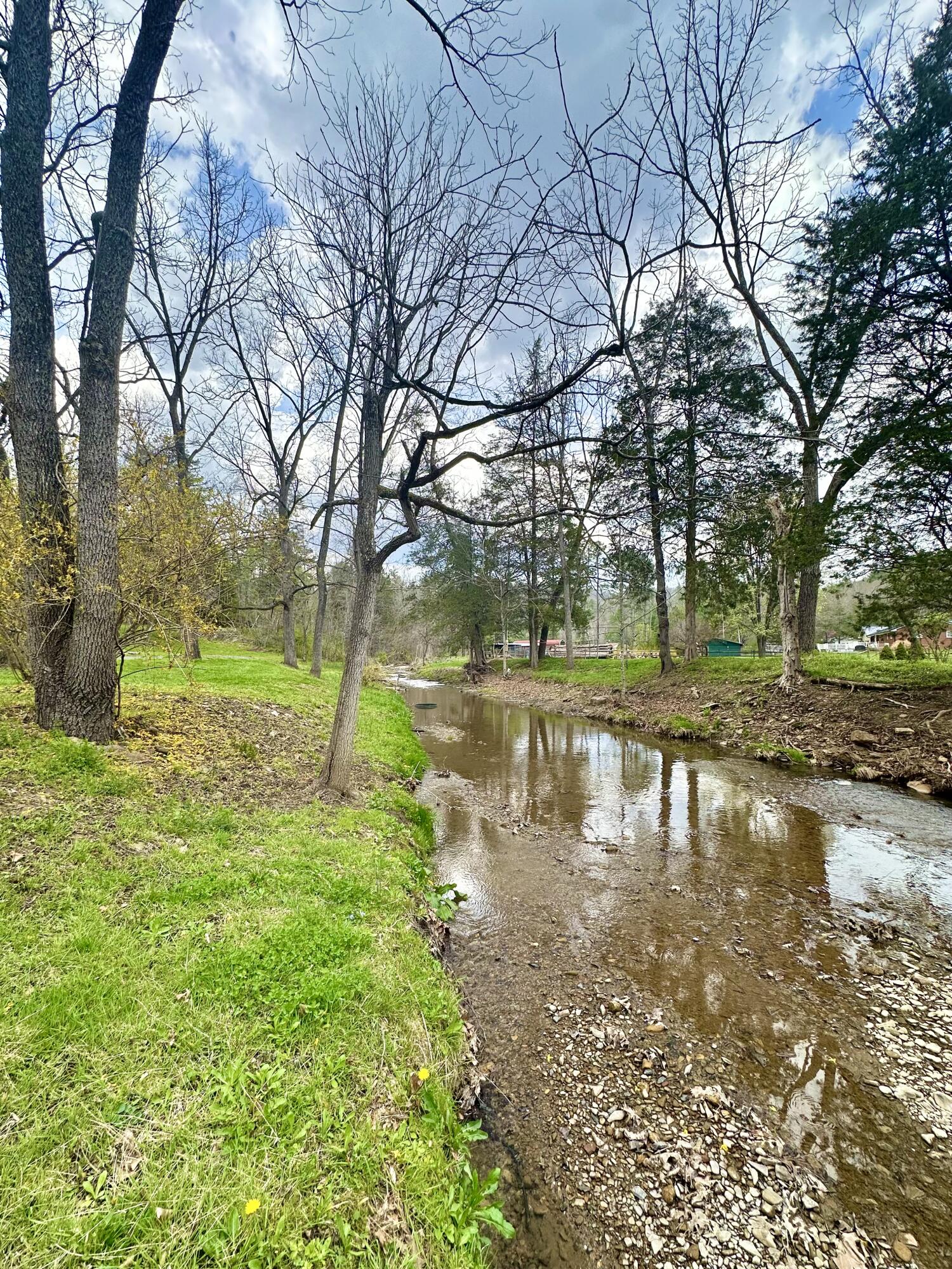 800 East Morris Hill Road Covington, VA 24426 - Photo 97 of 126 IMG_7058