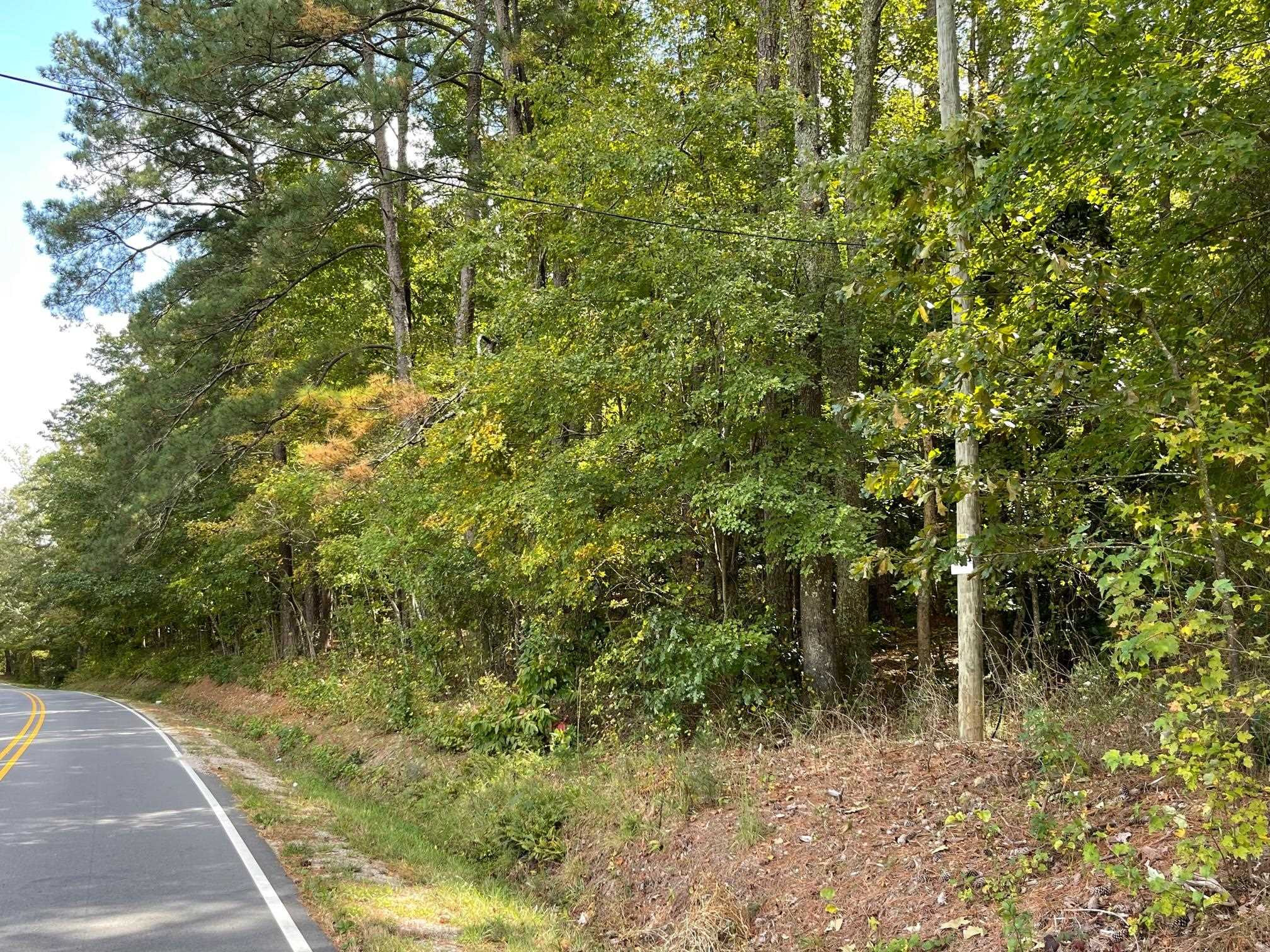 1 Kittrell Road Kittrell, NC 27544 - Photo 4 of 10 a view of a yard with plants and trees