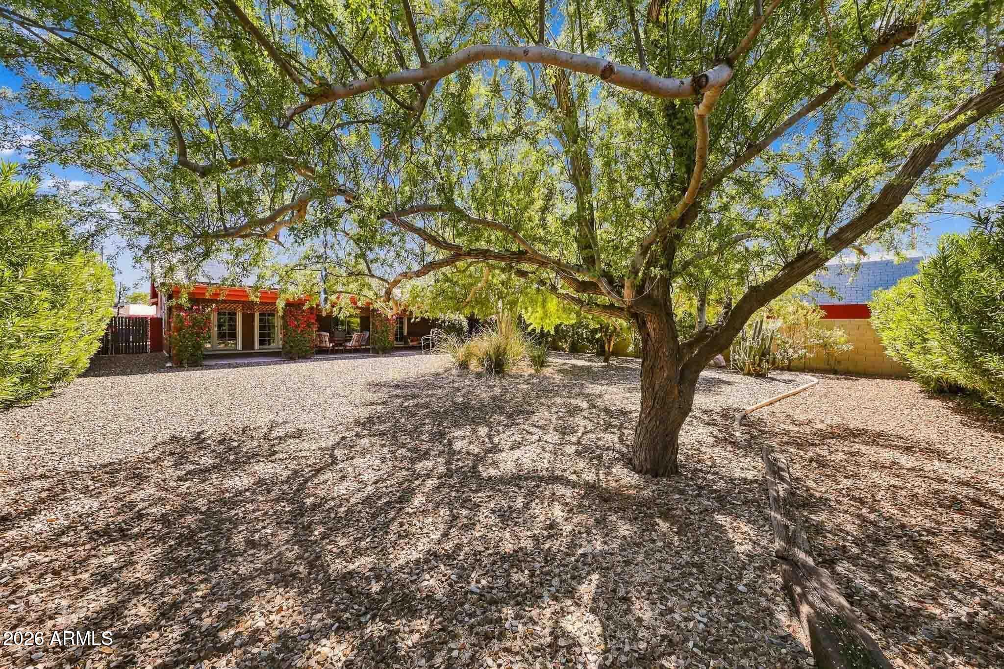 3992 North 14th Street Phoenix, AZ 85014 - Photo 22 of 23 Yard