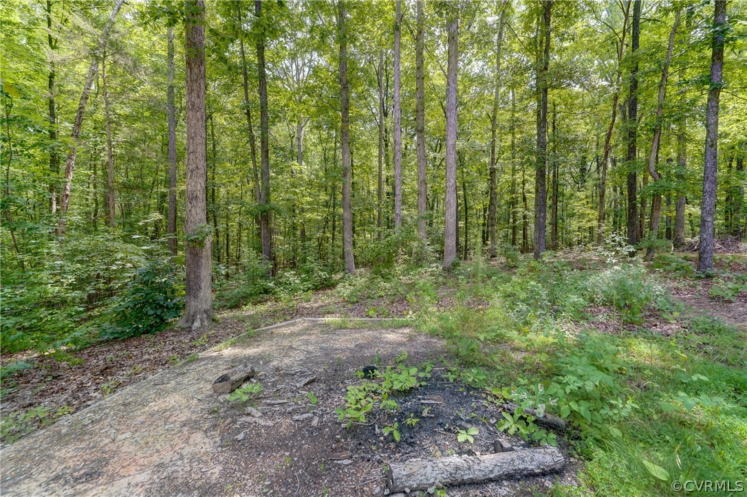 1730 Dorset Ridge Loop Powhatan, VA 23139 - Photo 42 of 46 Gallery Image 42