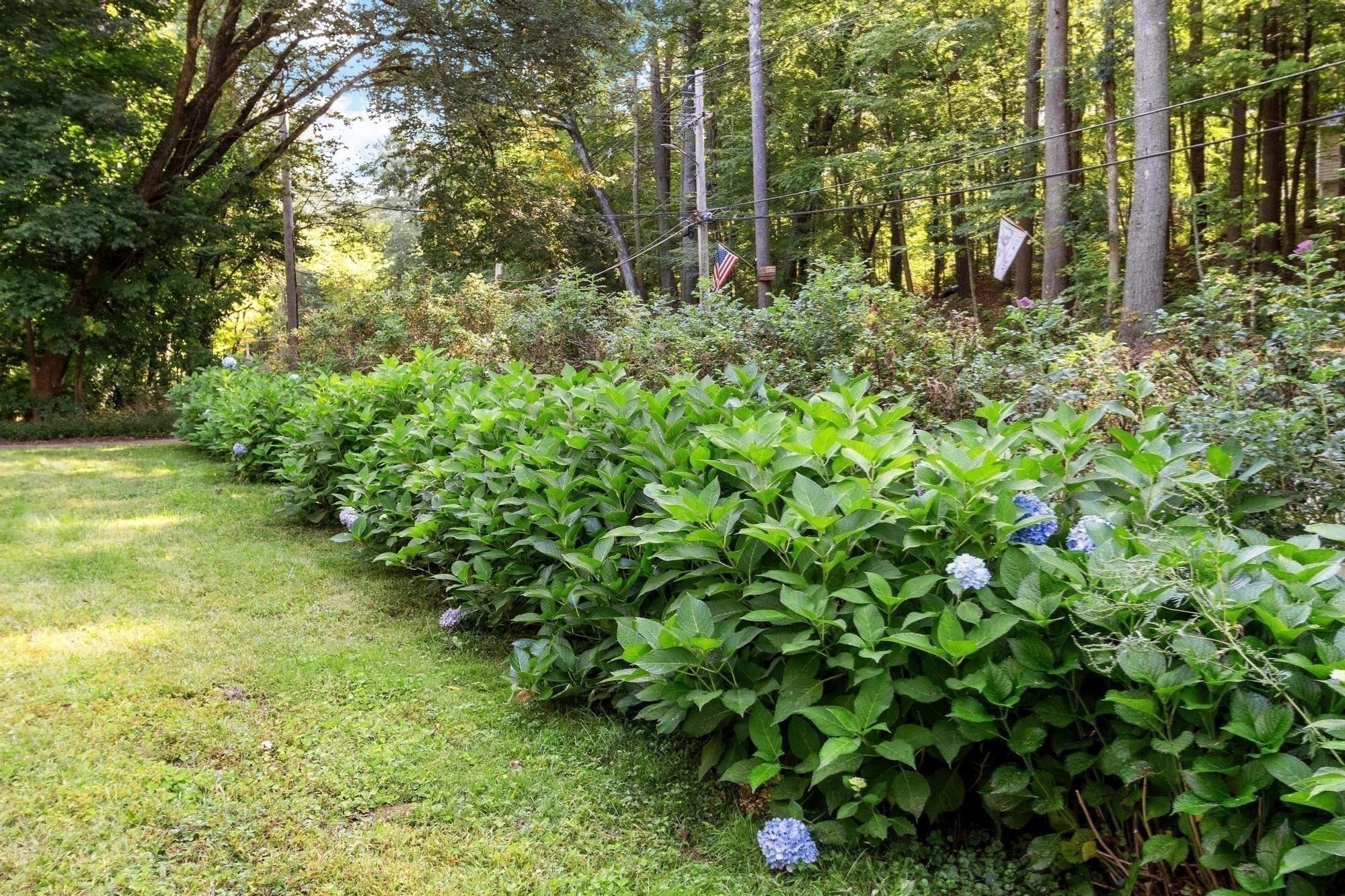 533 Lowell Road Groton, MA 01450 - Photo 39 of 42 Gallery Image 39