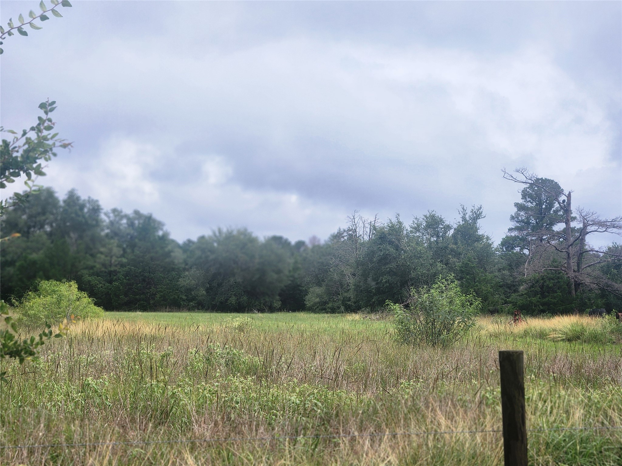 7600 Race Track Road La Grange, TX 78945 - Photo 5 of 13