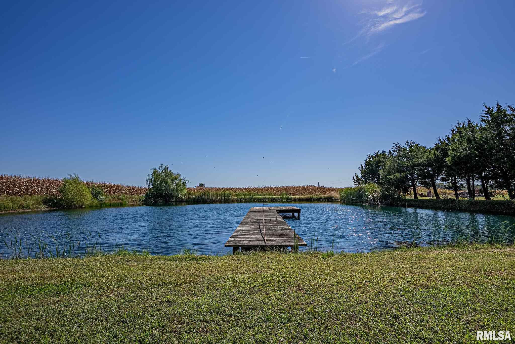 1304 Boone Street Road Sandoval, IL 62882 - Photo 8 of 40
