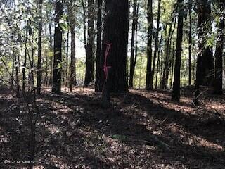 Tbd Sykes Town Road Currie, NC 28435 - Photo 10 of 10 pic syk 10