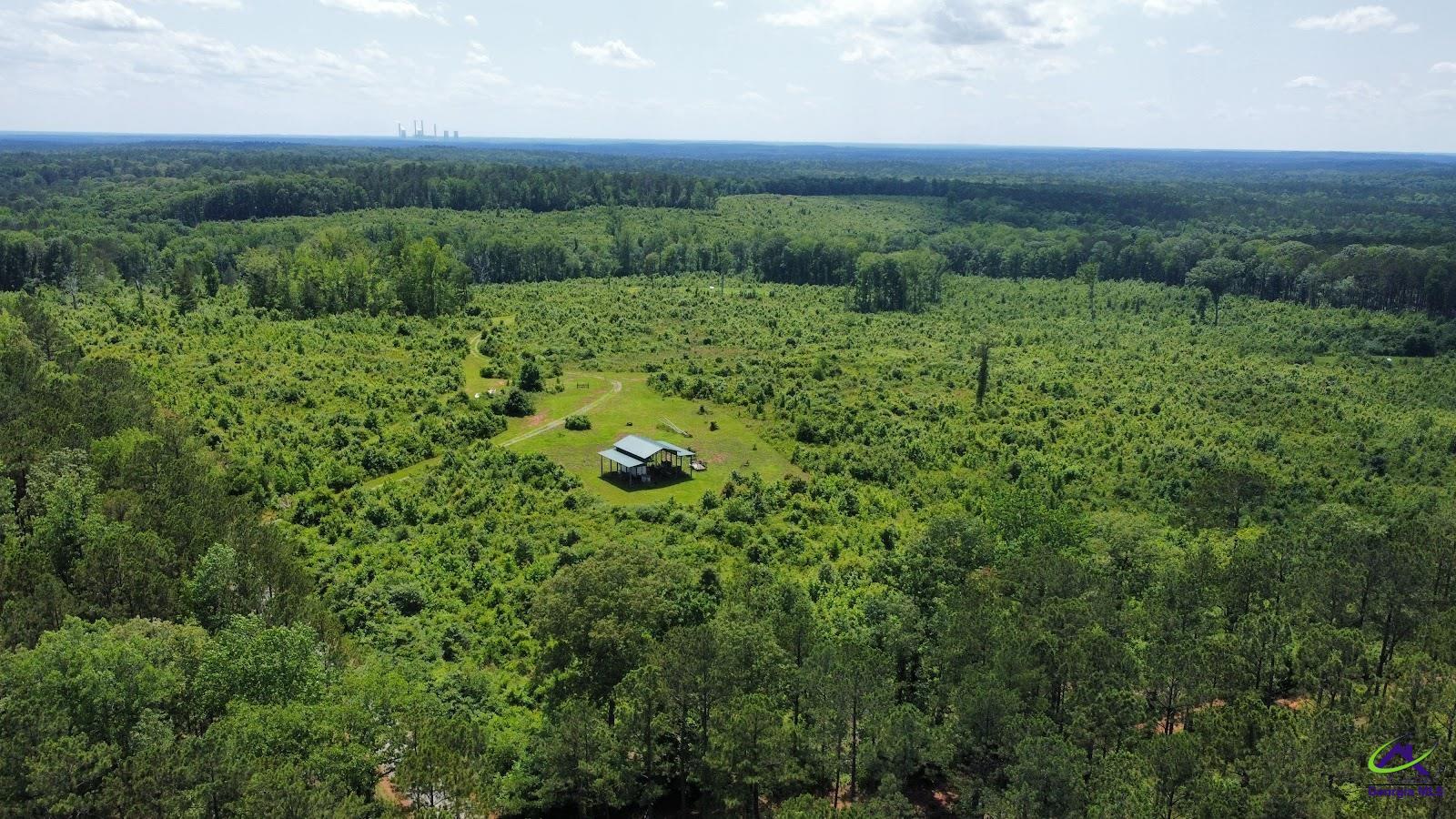 Sugar Hill Road Hillsboro, GA 31038 - Photo 2 of 6 a view of a lush green forest with lots of trees