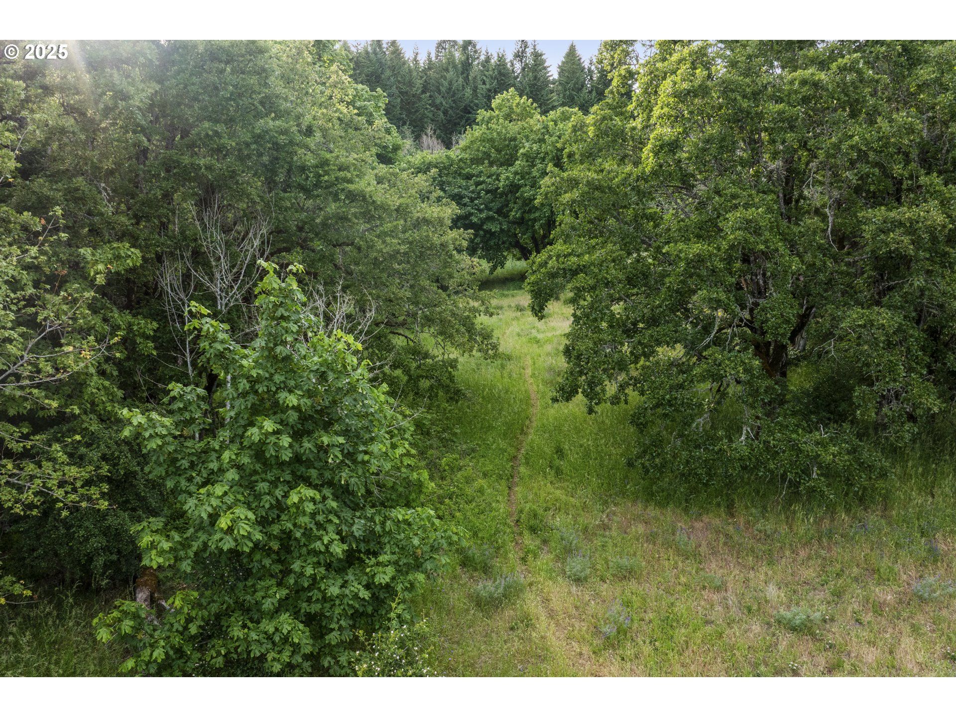 4719 Westwood Drive Hood River, OR 97031 - Photo 8 of 48