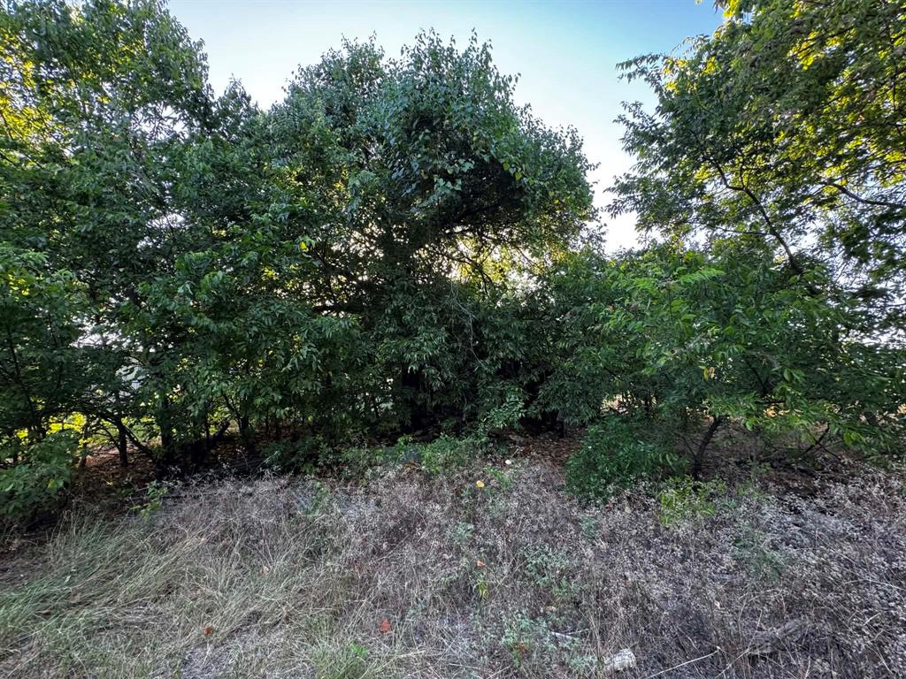 4270 Belz Road Sanger, TX 76266 - Photo 25 of 40 Mature deciduous trees providing natural screening
