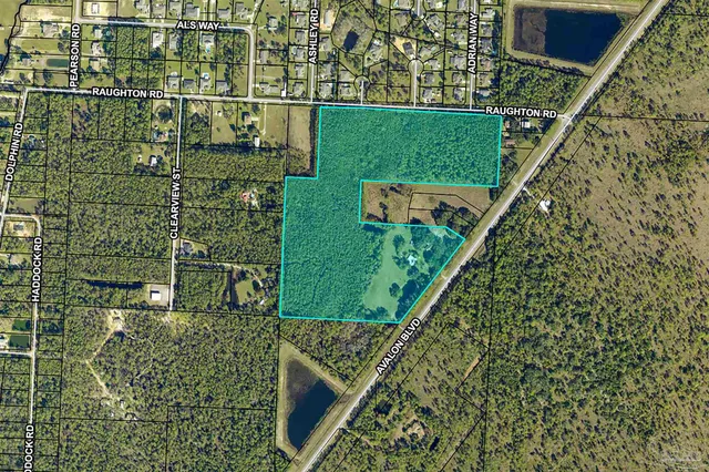 a view of a garden with a flower in a garden