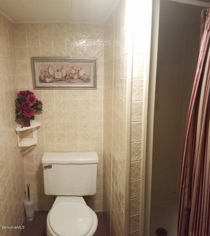 264 Sand Springs Road Williamstown, MA 01267 - Photo 18 of 27 bathroom -finished basement (712x800)
