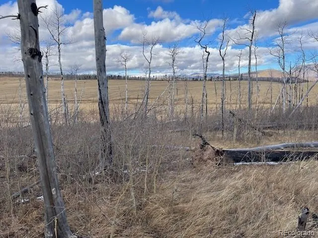 $11,000 | 2397 Petito Drive, Fort Garland, CO 81133