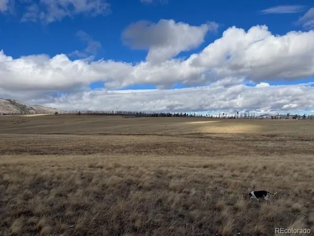 $11,000 | 2397 Petito Drive, Fort Garland, CO 81133