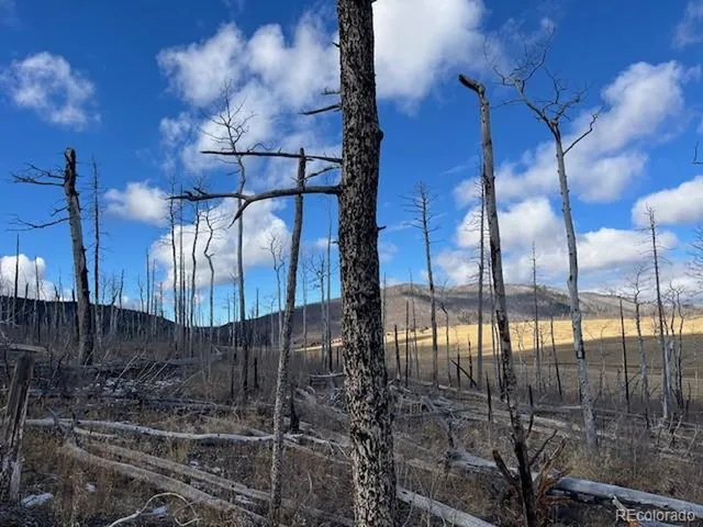 $11,000 | 2397 Petito Drive, Fort Garland, CO 81133