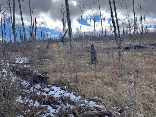 $11,000 | 2397 Petito Drive, Fort Garland, CO 81133