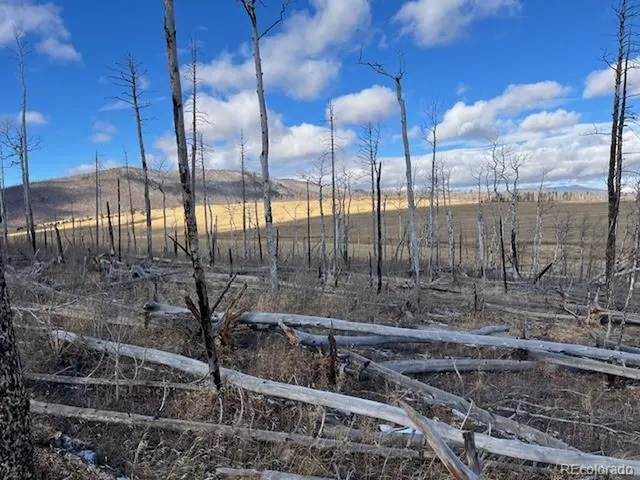 $11,000 | 2397 Petito Drive, Fort Garland, CO 81133