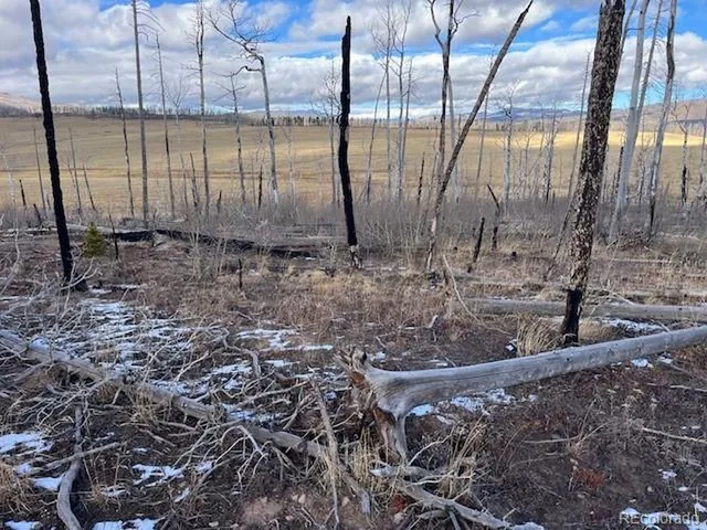 $11,000 | 2397 Petito Drive, Fort Garland, CO 81133