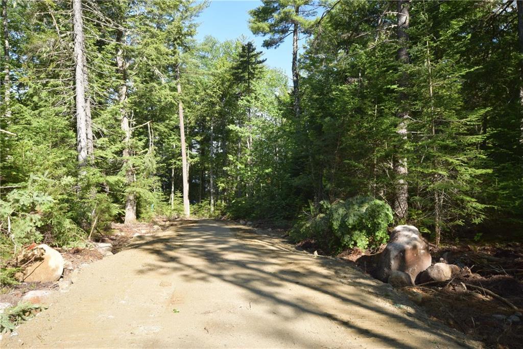 Lot 11 Loop & Little Stream Roads Lincoln, ME 04457 - Photo 5 of 12 Photo