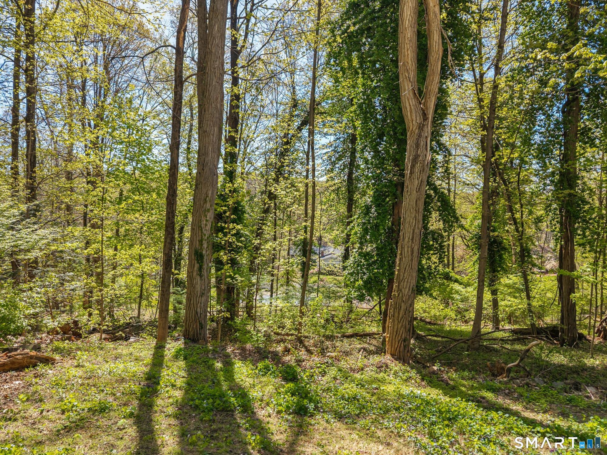 93 Torrington Avenue Canton, CT 06019 - Photo 24 of 24 a view of yard