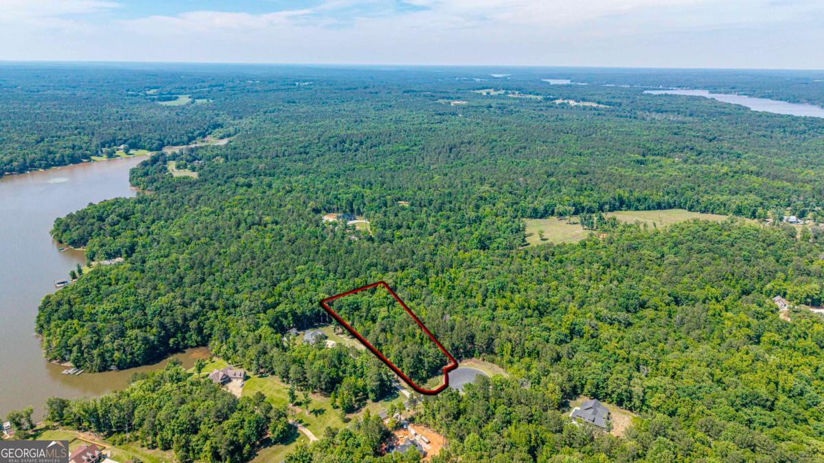 1360 Sailview Drive Buckhead, GA 30625 - Photo 11 of 37