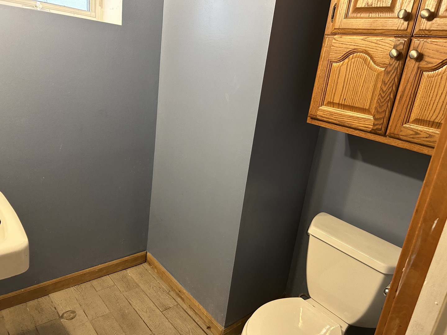 3673 Randolph Street Lansing, IL 60438 - Photo 20 of 22