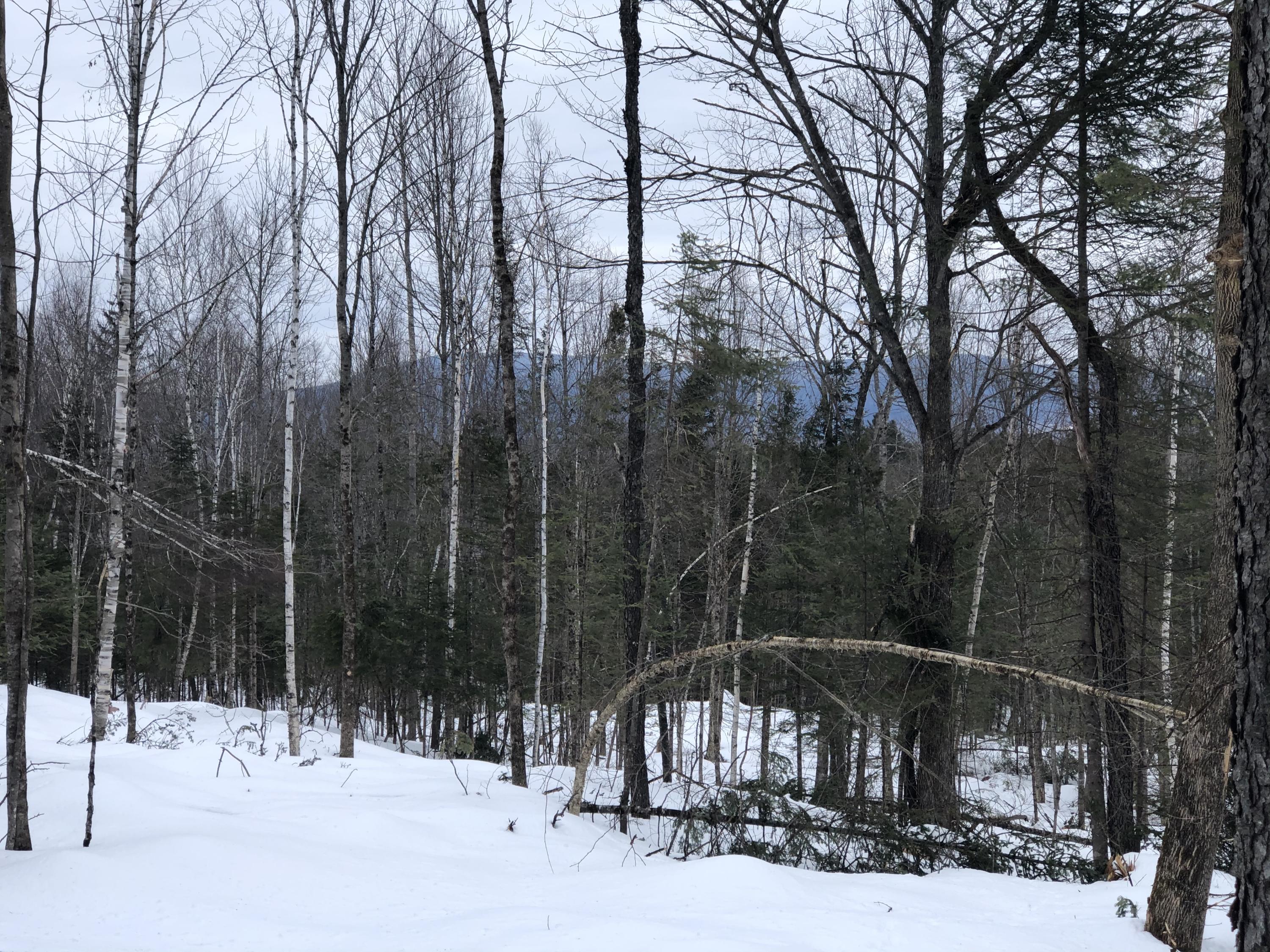 Tbd South Arm Road Andover, ME 04216 - Photo 1 of 2 McPherson Lot 2