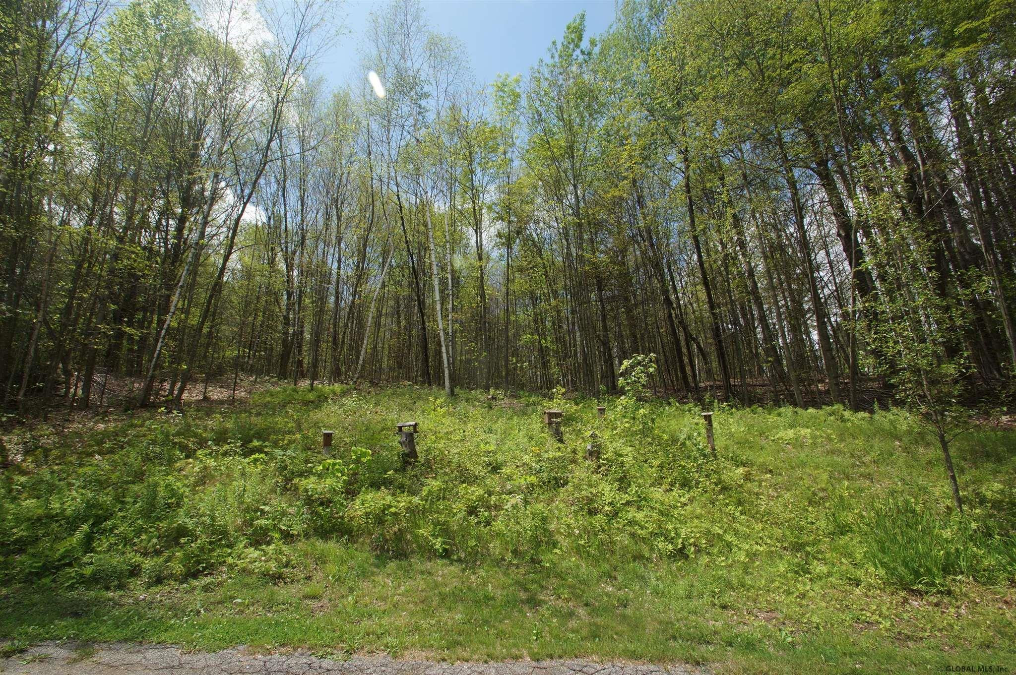 9594 Graphite Mountain Road Hague, NY 12836 - Photo 5 of 34 Photo 5