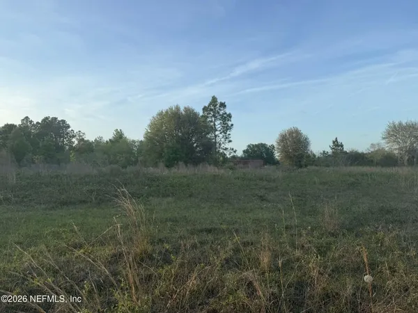 a view of a field of grass and trees