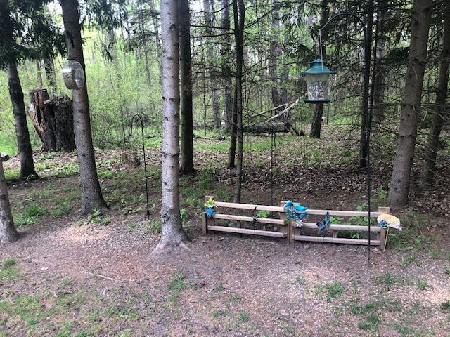 7293 North Coldwater Road Lake, MI 48632 - Photo 16 of 26 1858325-18.JPG