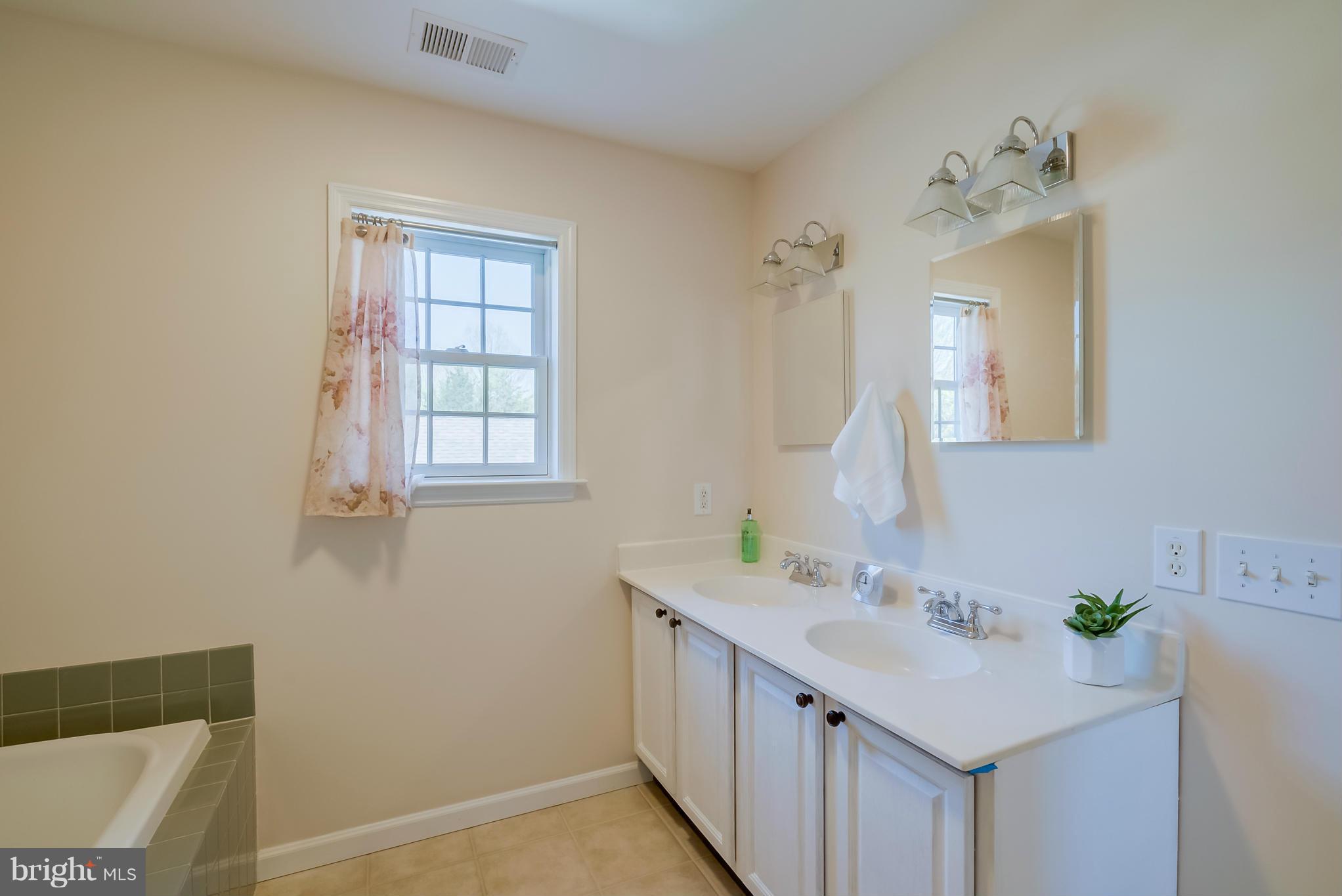 16527 Gaines Road Broad Run, VA 20137 - Photo 24 of 29 Bath (Master)