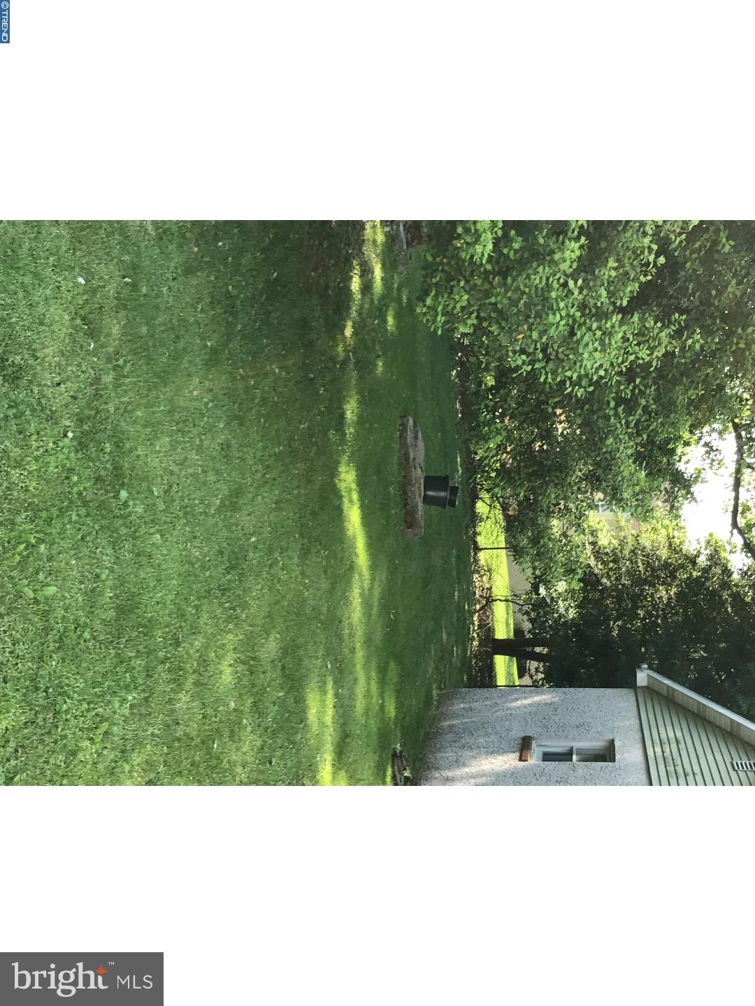 345 Prospect Road Springfield, PA 19064 - Photo 21 of 24 Side Yard