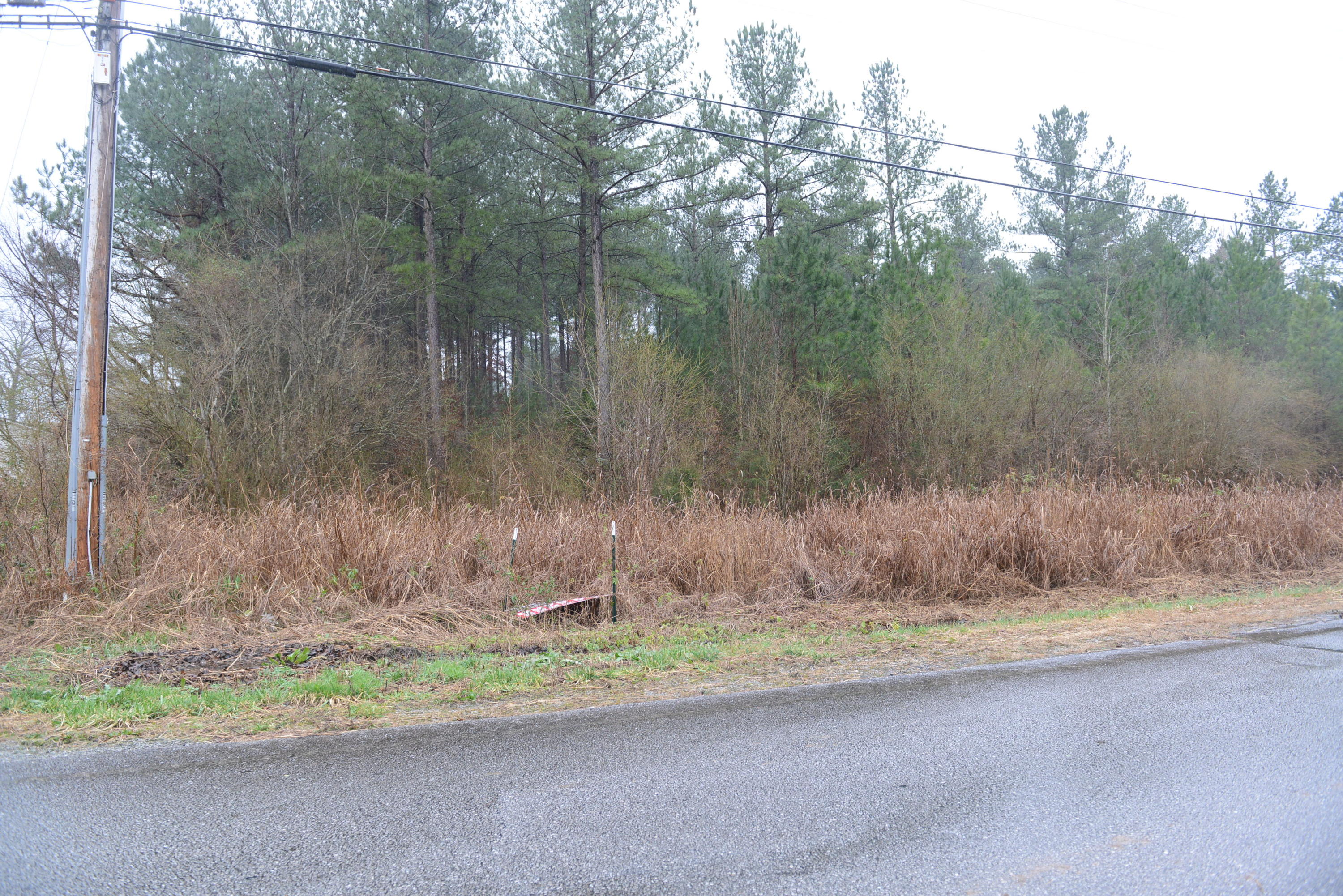 3429 Blythes Ferry Road Dayton, TN 37321 - Photo 2 of 5 DSC_4048