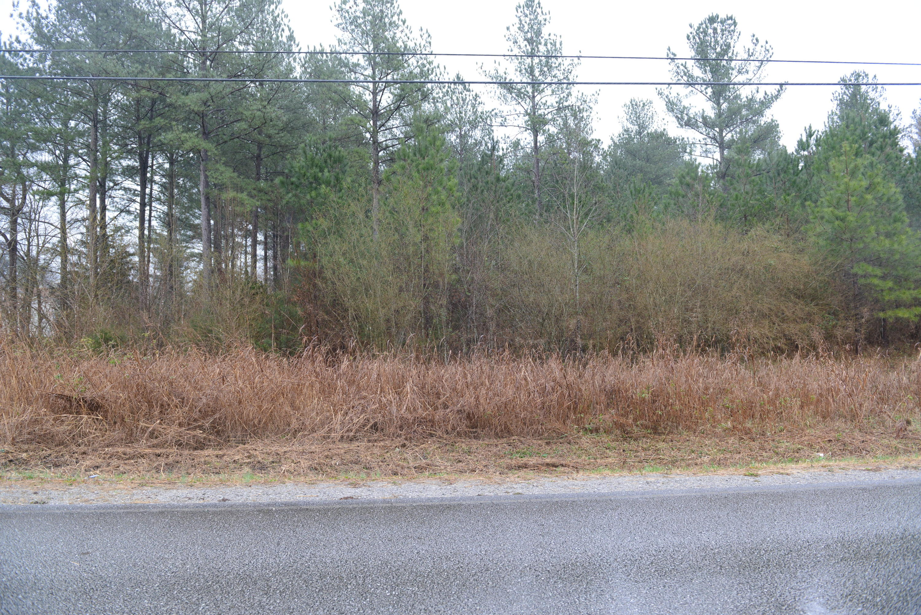 3429 Blythes Ferry Road Dayton, TN 37321 - Photo 3 of 5 DSC_4049