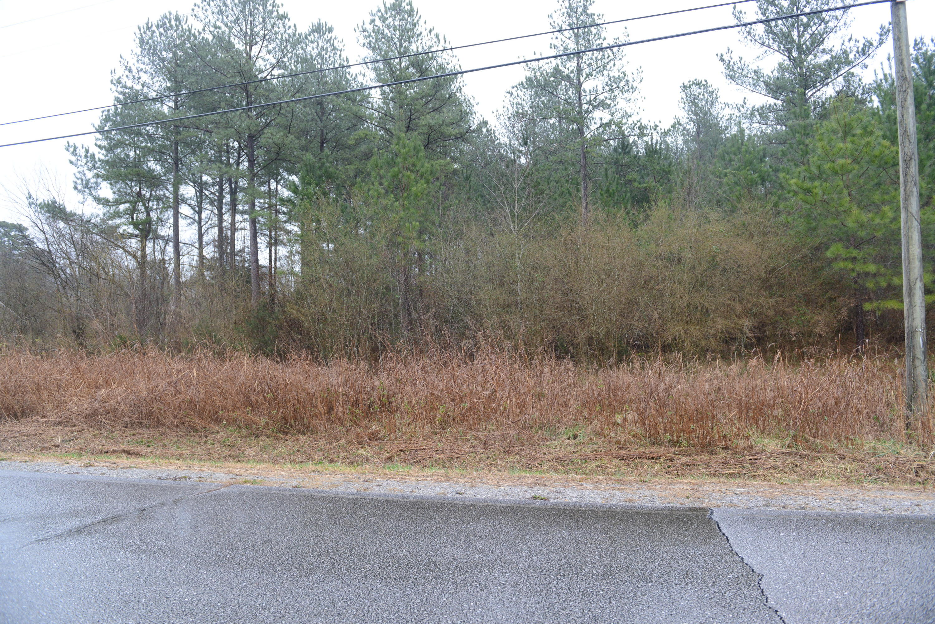 3429 Blythes Ferry Road Dayton, TN 37321 - Photo 4 of 5 DSC_4050