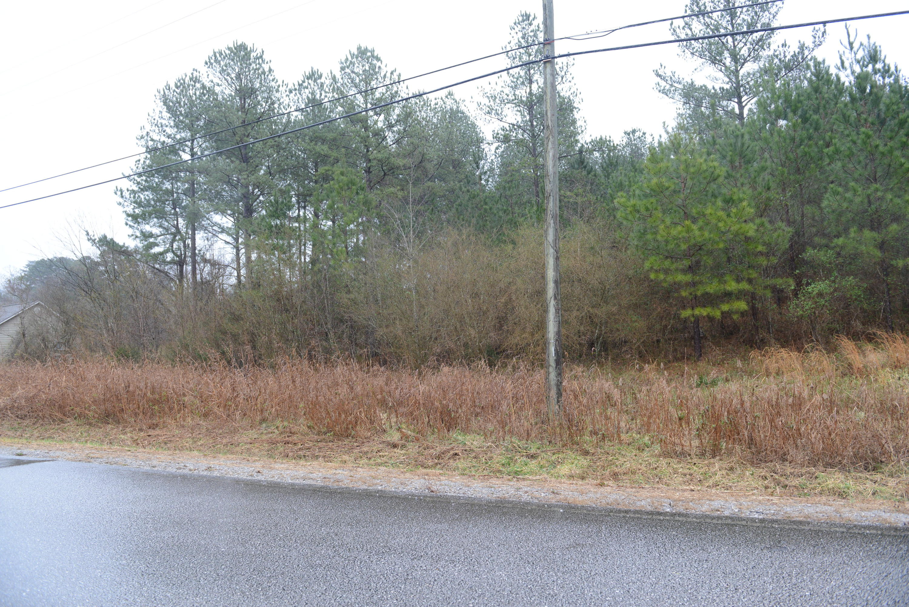 3429 Blythes Ferry Road Dayton, TN 37321 - Photo 5 of 5 DSC_4051