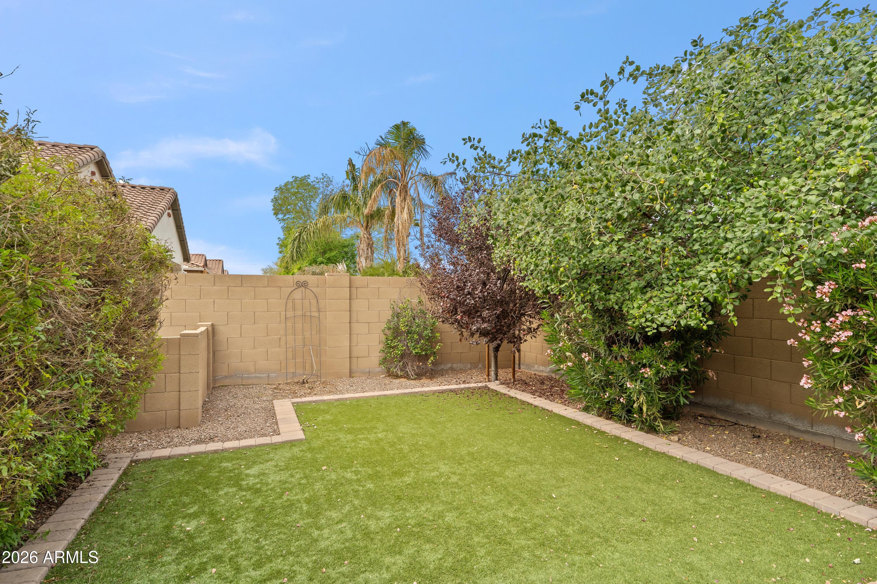2120 East Geronimo Street Chandler, AZ 85225 - Photo 35 of 45 Backyard - Turf