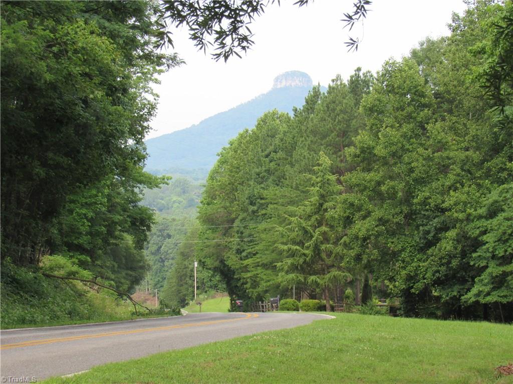 1365 Tillotson Road Pinnacle, NC 27043 - Photo 2 of 29