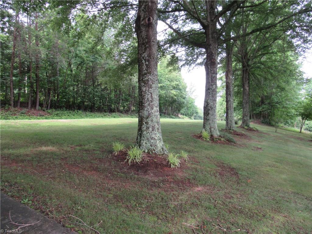 1365 Tillotson Road Pinnacle, NC 27043 - Photo 15 of 29