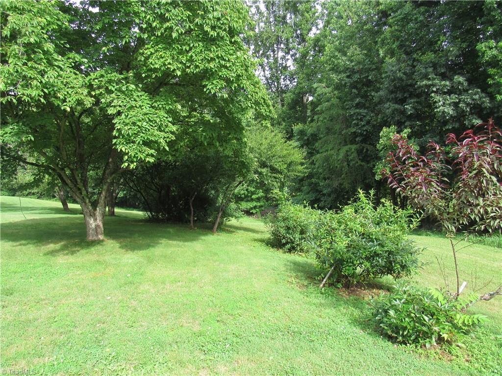 1365 Tillotson Road Pinnacle, NC 27043 - Photo 19 of 29