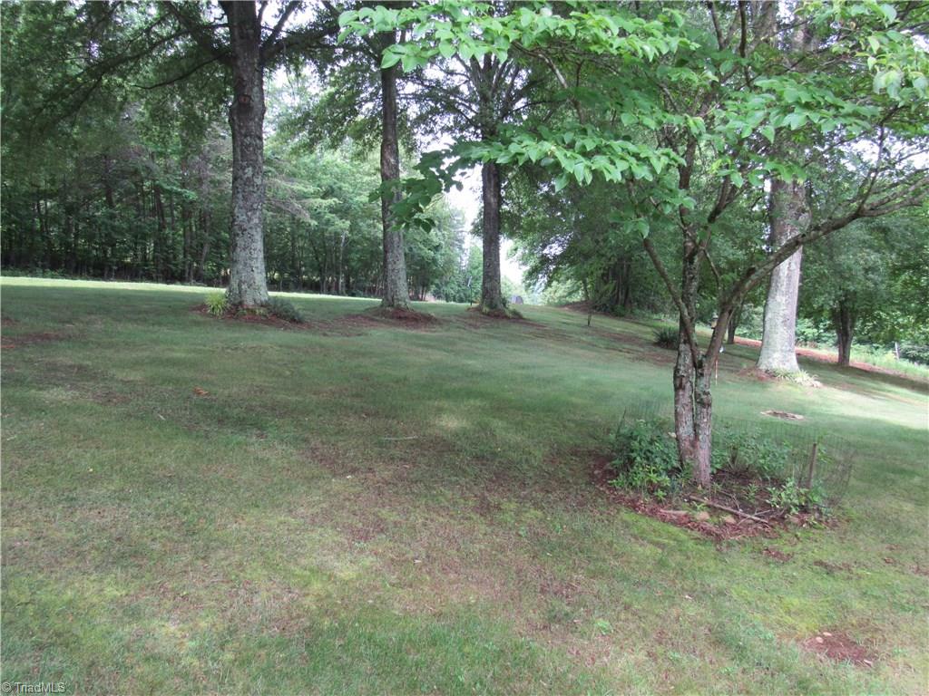 1365 Tillotson Road Pinnacle, NC 27043 - Photo 27 of 29