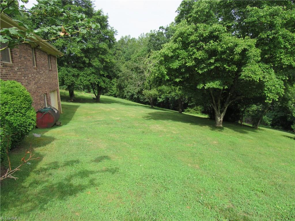 1365 Tillotson Road Pinnacle, NC 27043 - Photo 7 of 29